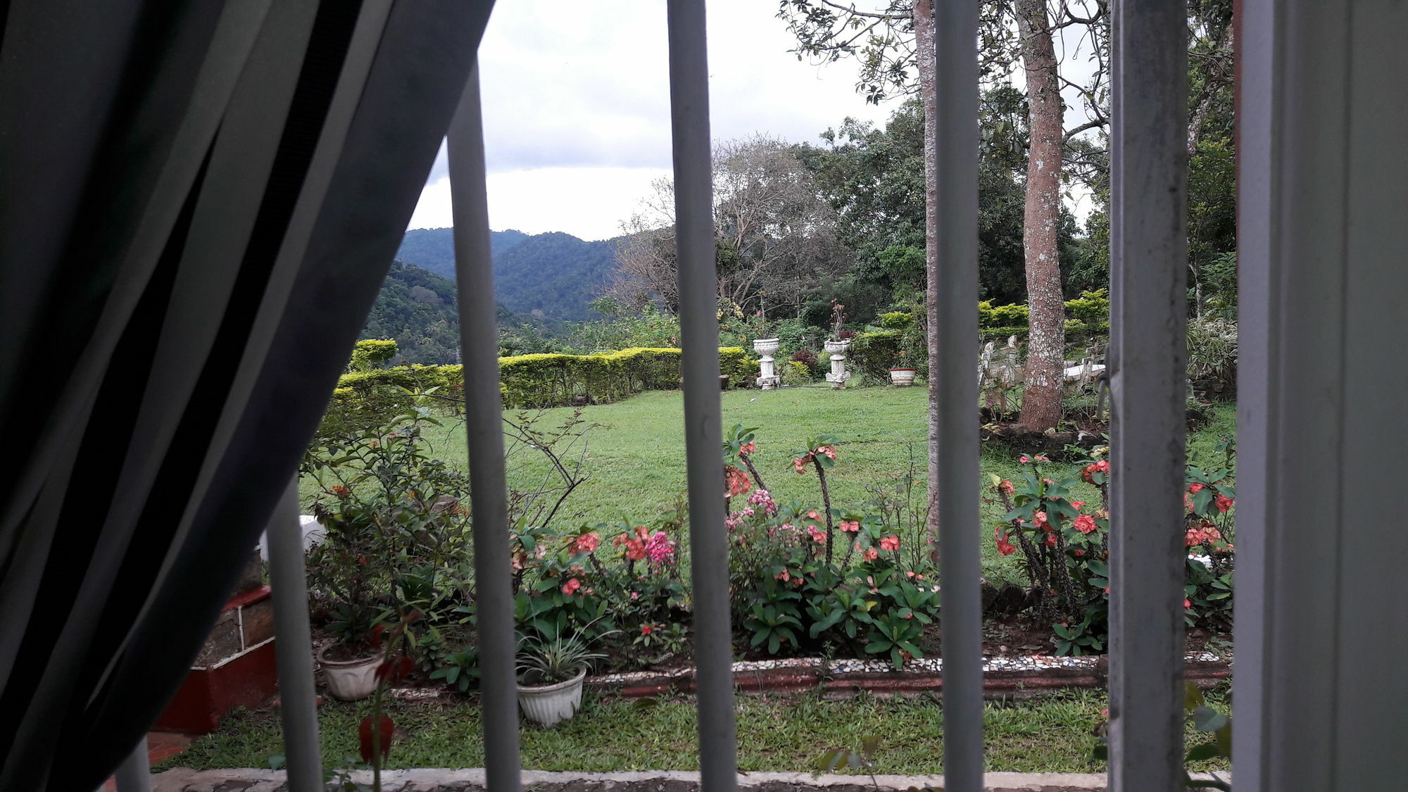 Oyo 441 Kandy Hill Bungalow Екстер'єр фото